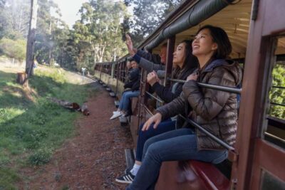 Puffing Billy Train & Penguin Wildlife Tour
