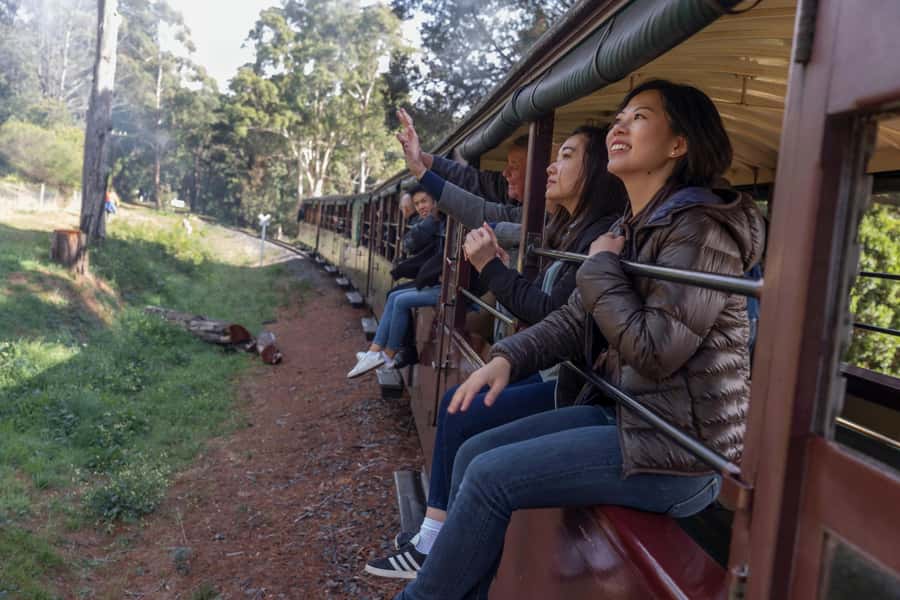 From Melbourne: Puffing Billy Train & Penguin Wildlife Tour - Pickup in central Melbourne