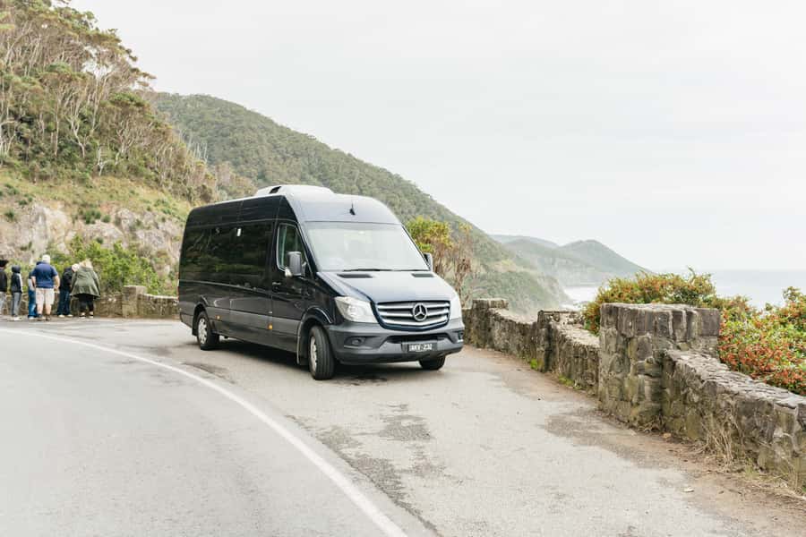 From Melbourne: Small-Group Great Ocean Road Day Trip - The guides make the difference
