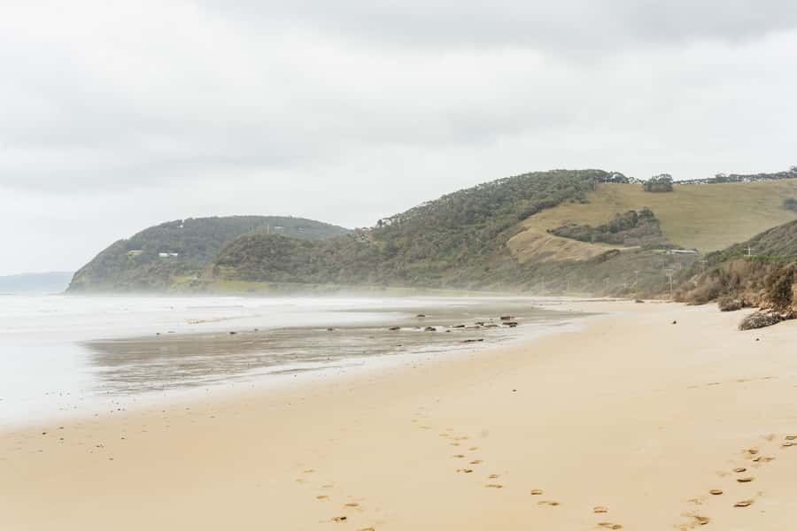 From Melbourne: Small-Group Great Ocean Road Day Trip - Walking through an ancient rainforest