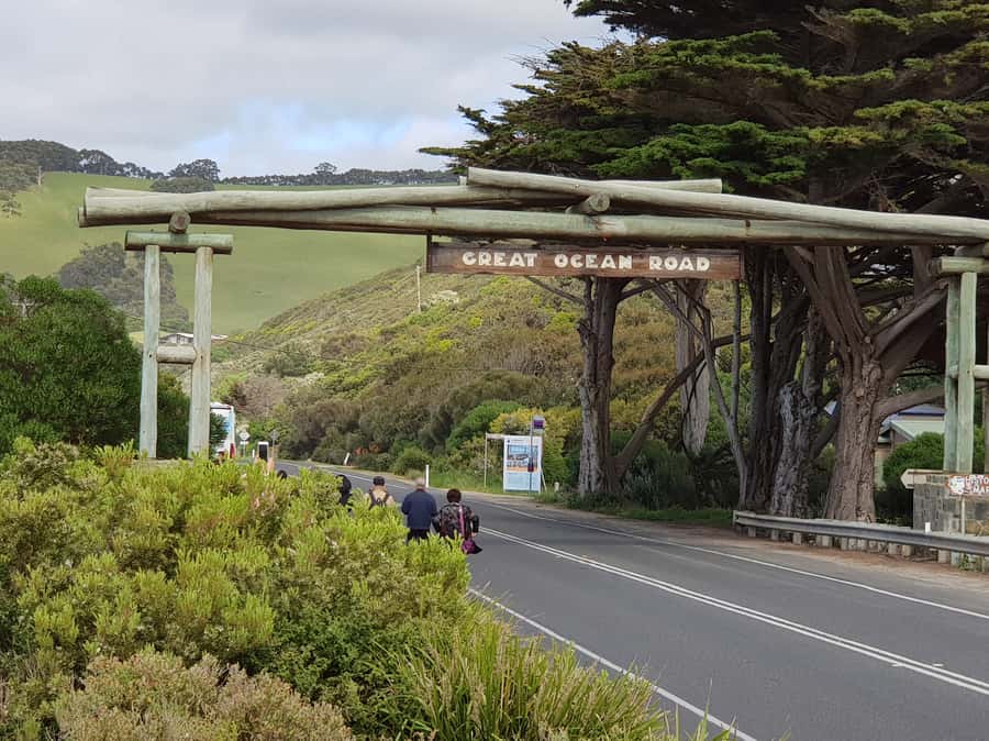 From Melbourne: Ultimate 2-Day Great Ocean Road Tour - Sheoak Falls, wildlife, and the road to Apollo Bay