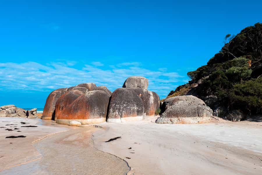 From Melbourne: Wilsons Promontory Small Group Day Tour - Who should book this Wilsons Promontory tour?
