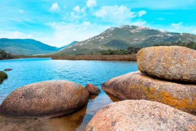 Wilsons Promontory Small Group Day Tour