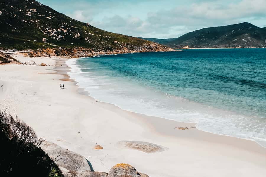 From Melbourne: Wilsons Promontory Small Group Day Tour - The guide makes the small group work