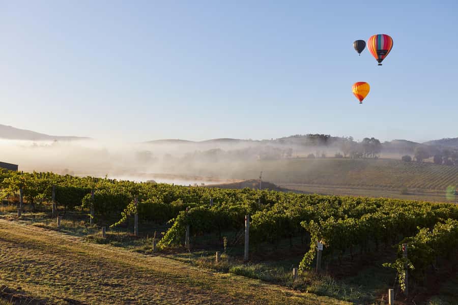 From Melbourne: Yarra Valley Hop-On-Hop-Off Bus Ticket - Should you book the Yarra Valley hop-on-hop-off bus?