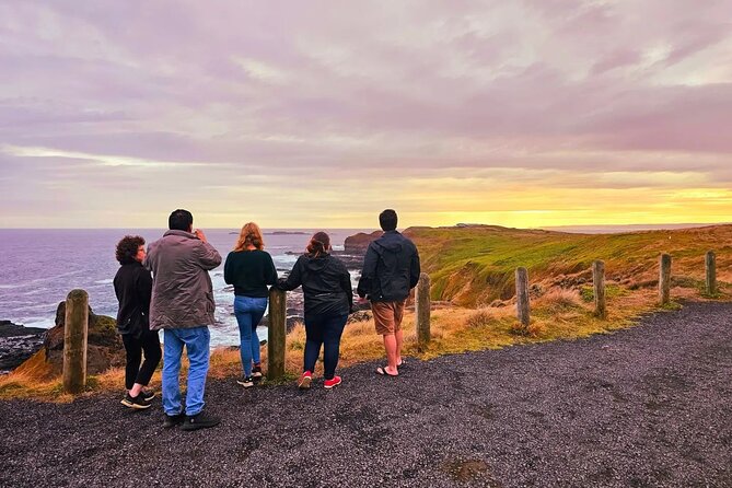 From Phillip Island: Wine and Wildlife Tour with Penguin Parade - What the $121.93 price includes in practical terms