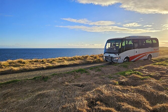 From Phillip Island: Wine and Wildlife Tour with Penguin Parade - Who will enjoy this afternoon most