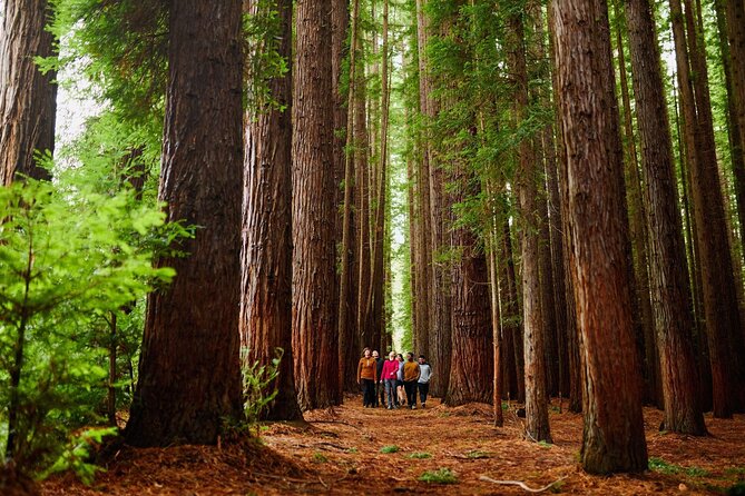 Fruit Picking & Nature Private Tour Yarra Valley & Warburton - Key points to know before booking