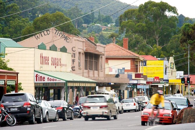 Fruit Picking & Nature Private Tour Yarra Valley & Warburton - The Redwood forest and creek walk