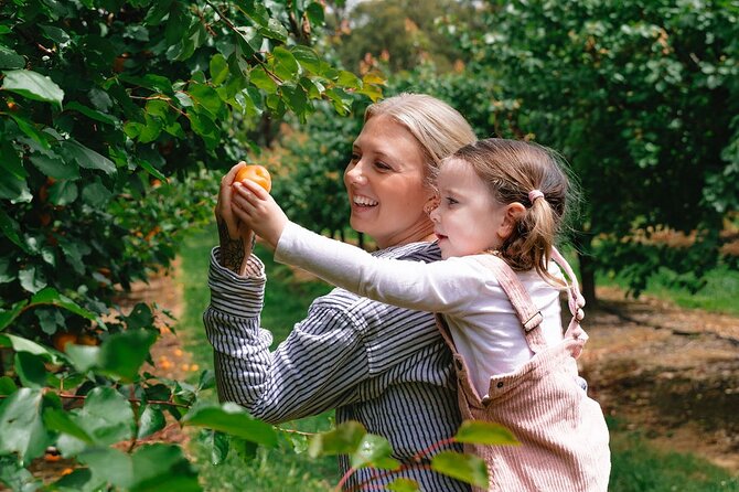 Fruit Picking & Nature Private Tour Yarra Valley & Warburton - Value, extra fees, and what is included