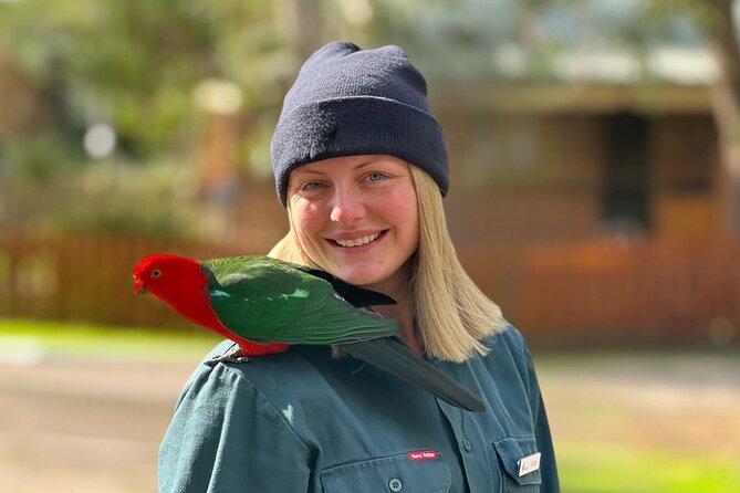 Full-Day Great Ocean Road and 12 Apostles Sunset Tour from Melbourne - Kennett River is the wildlife gamble