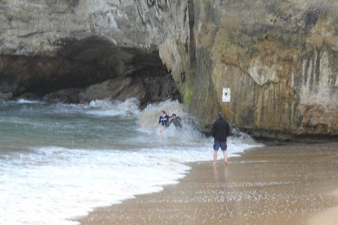 Full-Day Great Ocean Road Tour from Melbourne - Apollo Bay and Cape Patton