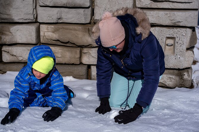 Full-Day Mount Buller Tour - Mansfield and the one-hour gear stop