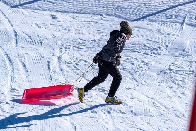 Full-Day Mount Buller Tour - Five hours at Mount Buller