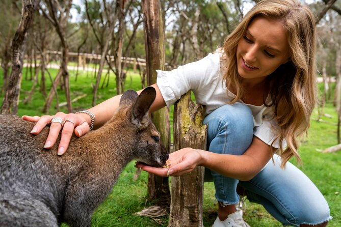 Full-Day Penguins and Wildlife Nature Experience from Melbourne - Cape Woolamai, where the itinerary opens up