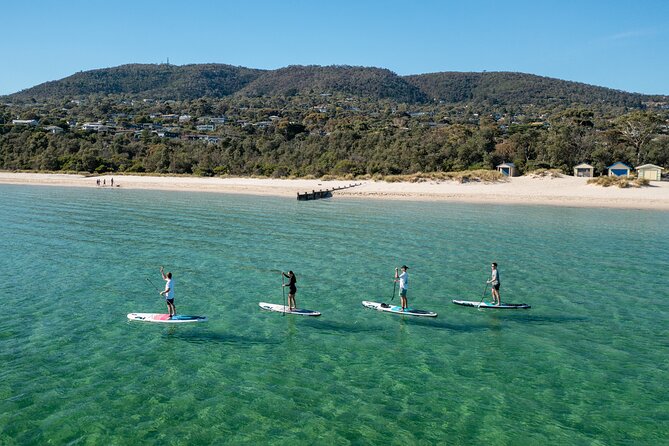 Full-Day Penguins and Wildlife Nature Experience from Melbourne - Cowes and the Esplanade for a break