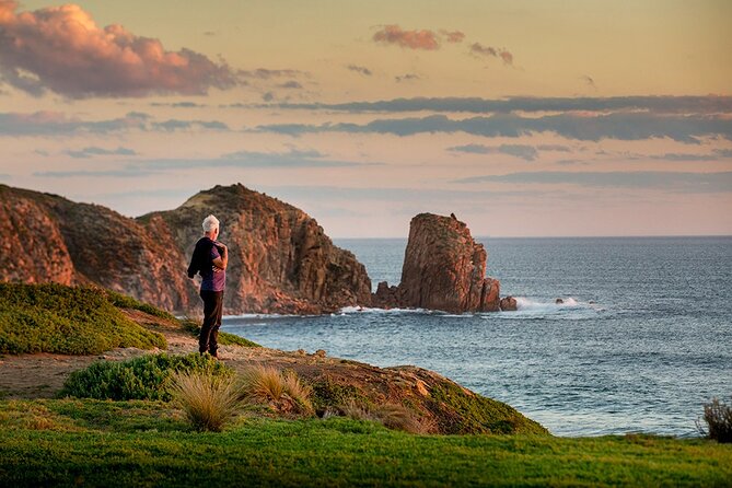 Full-Day Phillip Island Tour with Kangaroo, Koala and Penguin Parade - The Nobbies puts volcanic rock and fur seals together