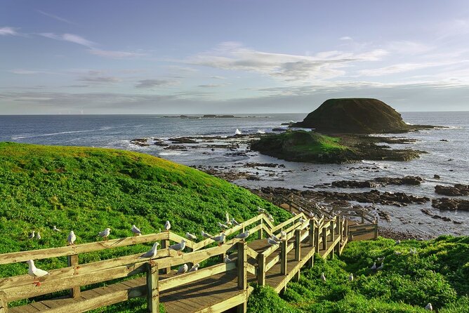 Full-Day Private Australian Wildlife Tour of Phillip Island - Cape Woolamai combines beach and bird habitat