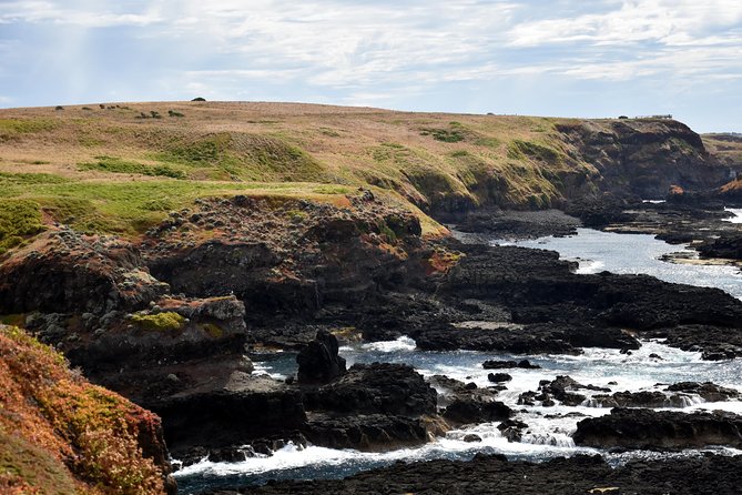Full-Day Private Australian Wildlife Tour of Phillip Island - How the nine-hour schedule feels
