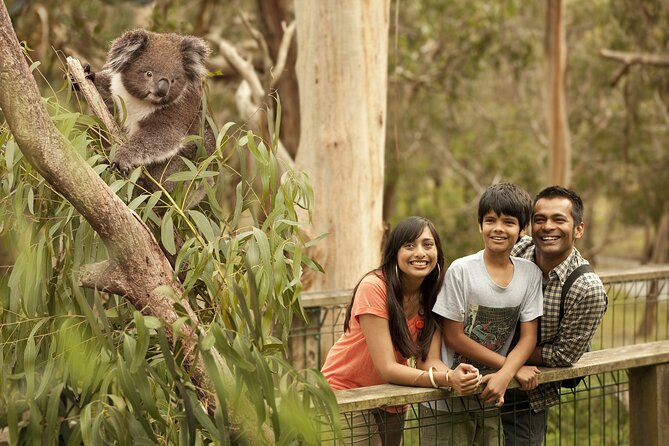 Full-Day Private Australian Wildlife Tour of Phillip Island - A private day with guide Ben and your own transport