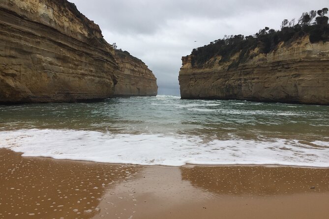 Full Day Private Custom Tour of Great Ocean Road & 12 Apostles - Kennett River and the chance to spot koalas