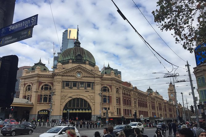 Full Day Private Melbourne Tour with enchanting Koala Encounters. - A big Melbourne day with a wildlife finish