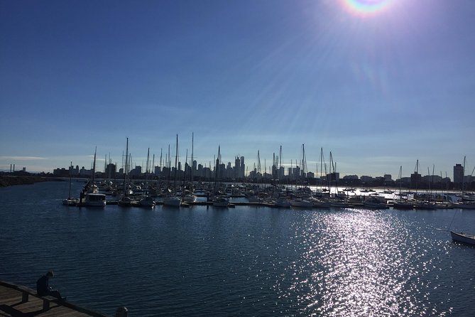 Full Day Private Melbourne Tour with enchanting Koala Encounters. - Starting with St Paul’s Cathedral and Federation Square