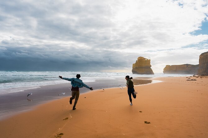 Full Day Tour of Great Ocean Road and 12 Apostles from Melbourne - Maits Rest is the day’s rainforest walk