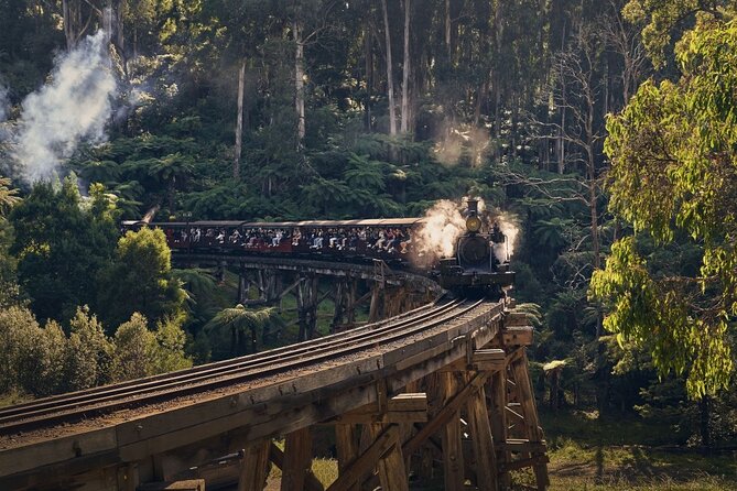 Full Day Tour of Great Ocean Road and 12 Apostles from Melbourne - Great Otway National Park changes the scenery