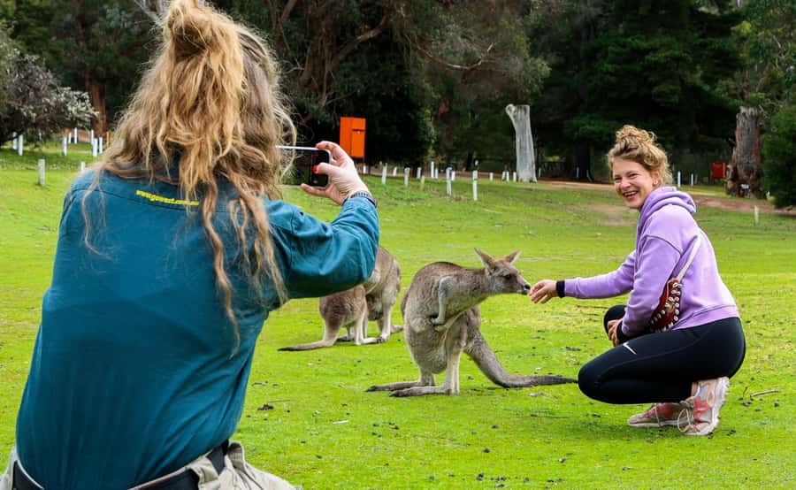 Grampians National Park Small-Group Eco Day Tour - The minibus, group size, and long return