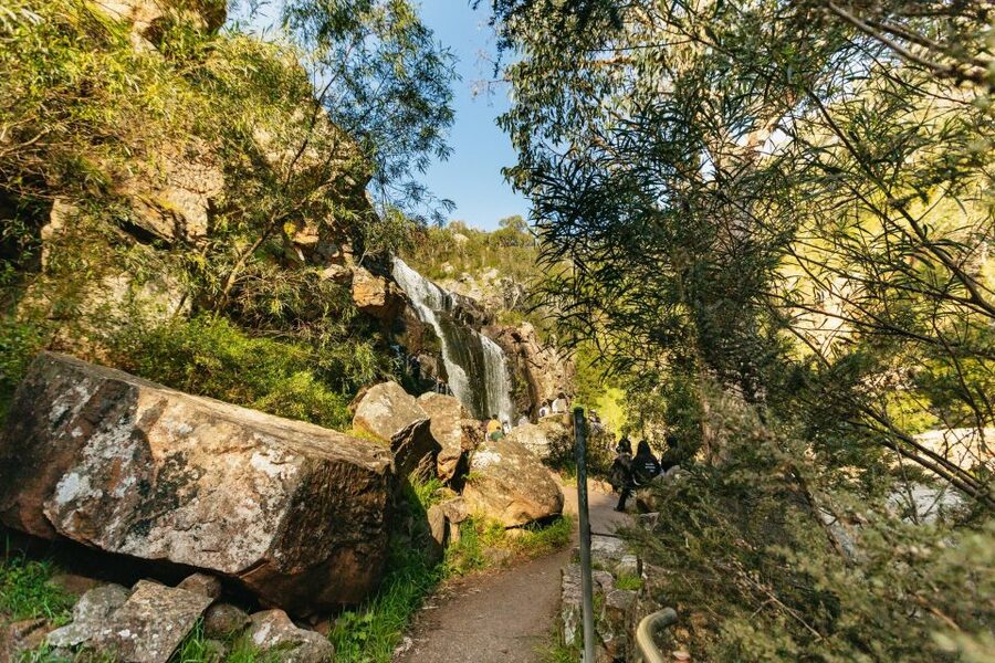 Grampians National Park Small-Group Eco Day Tour - Halls Gap, lunch, and a close look at wildlife