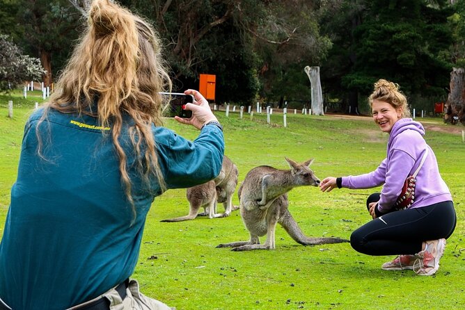 Grampians National Park Small-Group Eco Tour from Melbourne - Guides make the long day easier