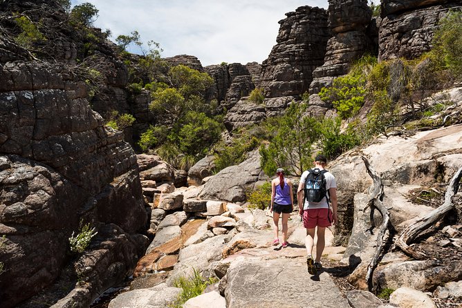 Grampians National Park with MacKenzie Falls and Kangaroos - Kangaroos and morning tea in the wild