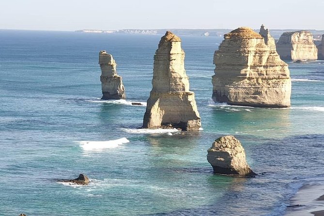 Great Ocean Road 12 Apostles kangaroo, koala and chocolate tour - Key points to know before booking