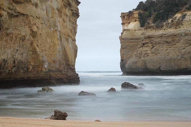 Great Ocean Road 12 Apostles kangaroo, koala and chocolate tour - Kangaroo searching at Anglesea Golf Club