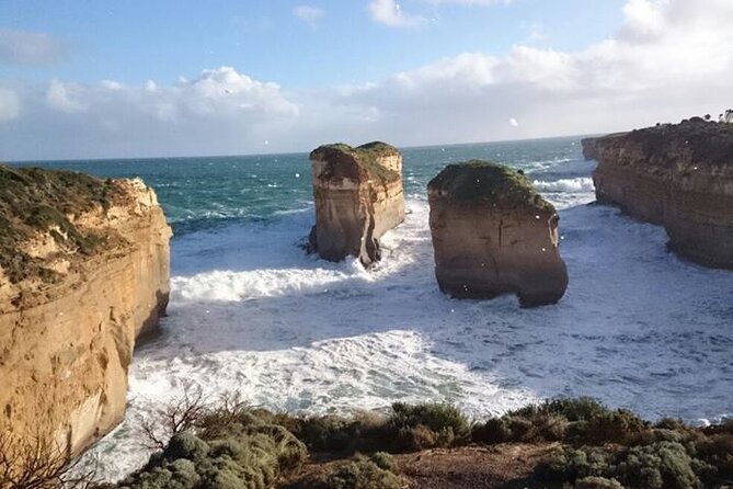 Great Ocean Road 12 Apostles kangaroo, koala and chocolate tour - Koala stops depend on luck and local conditions