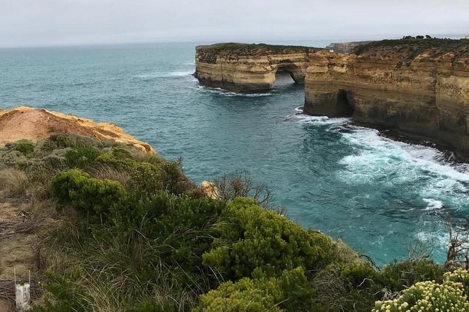 Great Ocean Road 12 Apostles kangaroo, koala and chocolate tour - The chocolate stop gives the morning a pleasant start