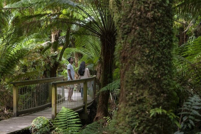 Great Ocean Road, 12 Apostles, Rainforest & Morning Tea-Melbourne - Leaving Melbourne for the coast