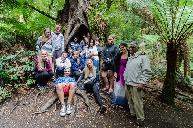 Great Ocean Road 12 Apostles & Rainforest Walk with Morning Tea - Anglesea and the Memorial Arch tell the road’s story