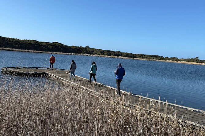 Great Ocean Road and 12 Apostles Private Day Tour - Lorne and Apollo Bay: the best places to pause