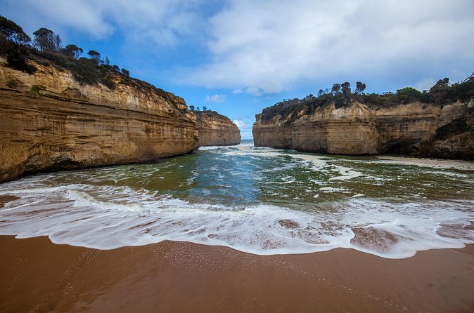 Great Ocean Road and Wildlife Tour for Backpackers aged 18-35 - Kennett River and the search for wild animals