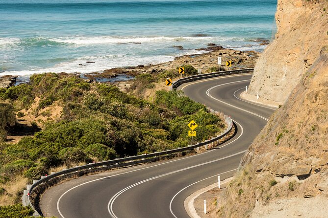 Great Ocean Road Coastal Spectcular with Wildlife Wonders - Why the reverse Great Ocean Road route matters