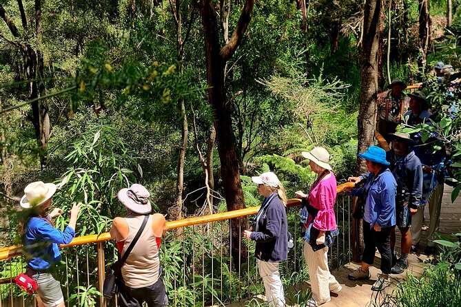 Great Ocean Road Coastal Spectcular with Wildlife Wonders - Wildlife Wonders adds meaning to the scenery