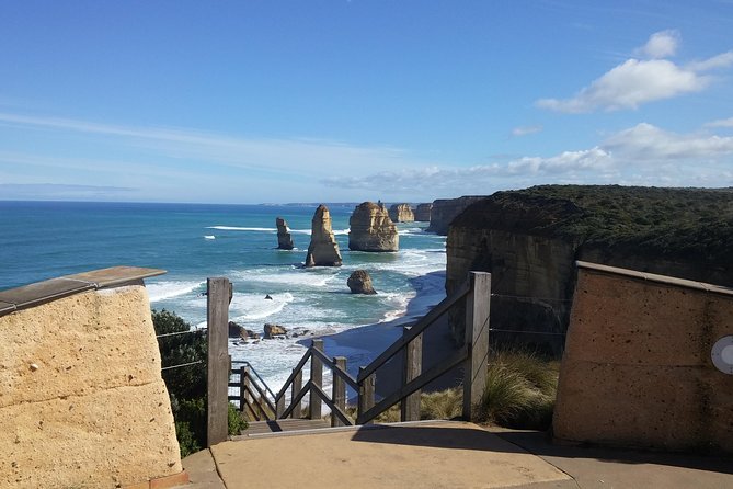 Great Ocean Road Coastal Spectcular with Wildlife Wonders - Anglesea brings a chance to spot kangaroos