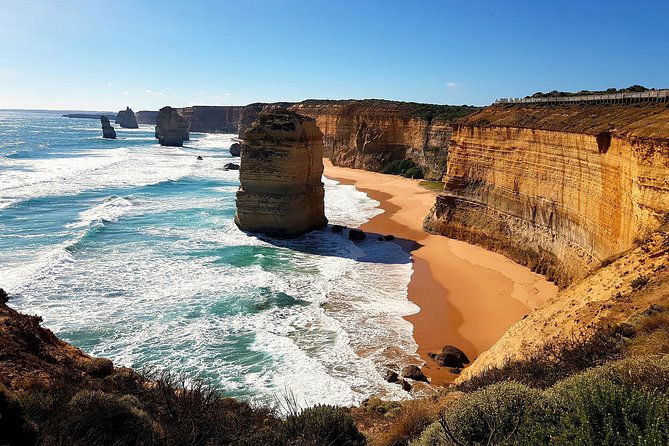 Great Ocean Road Coastal Spectcular with Wildlife Wonders - Gorge Chocolates starts the day with alpacas and coffee