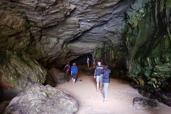 Great Ocean Road Full Day Private Experience - Wildlife stops and the value of a local guide