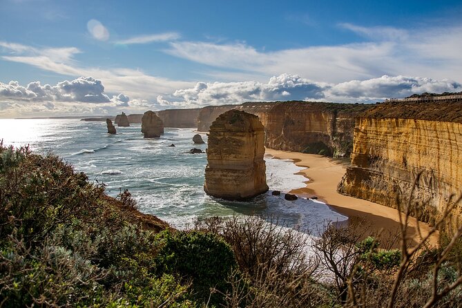 Great Ocean Road Grampians 2 Day Tour from Melbourne to Adelaide - Great Otway rainforest adds variety