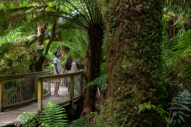 Great Ocean Road Grampians 3 Day National Park Tour Melbourne Roundtrip - Key points at a glance