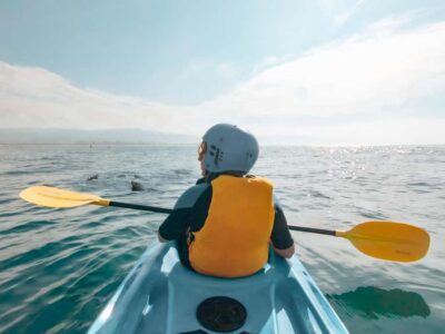 Kayaking with Seals Tour