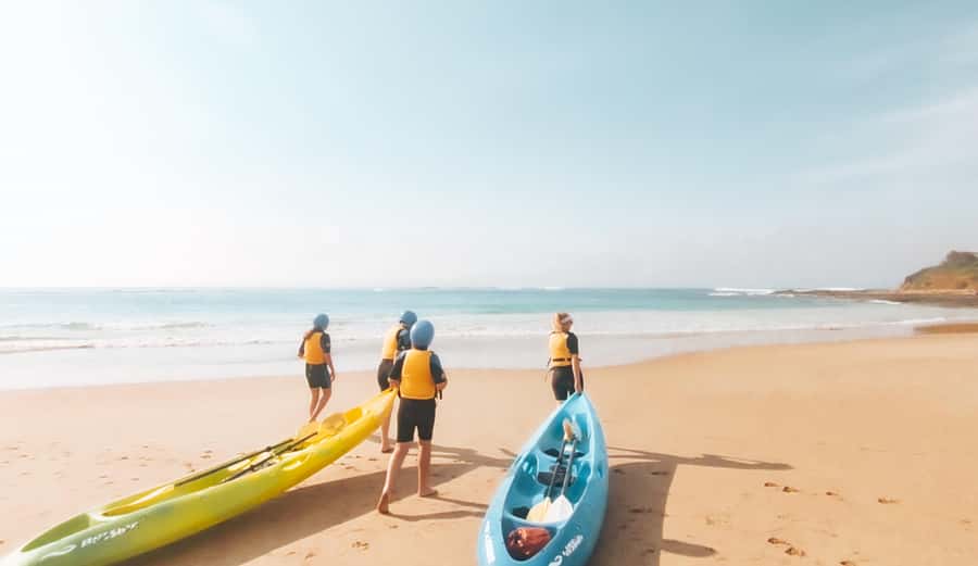 Great Ocean Road: Kayaking with Seals Tour - Paddling toward the seal haul-out